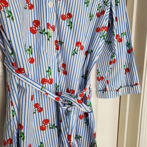 Blue Striped Cherry Print Shirt Dress Button Front Belted Collared Midi Med? - Picture 4 of 6